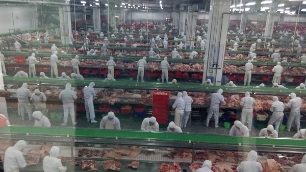 山东省肉类协会“肉类食品放心购”电商平台及“肉类食品安全健康行”活动正式启动